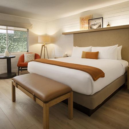 Dr Wilkinsons Backyard Resort And Mineral Springs A Member Of Design Hotels Calistoga Exterior foto